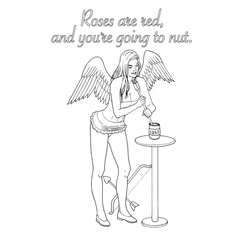 My Naughty Valentine Colouring Book A$23.26 Fast shipping