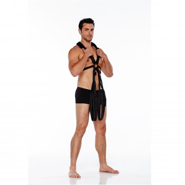 WhipSmart Body Swing - Black Body Swing Harness A$89.73 Fast shipping